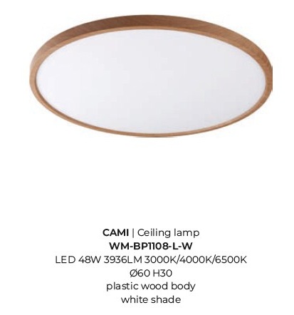 картинка Светодиодные Потолочный светильник ZUMA LINE Cami WM-BP1108-L-W