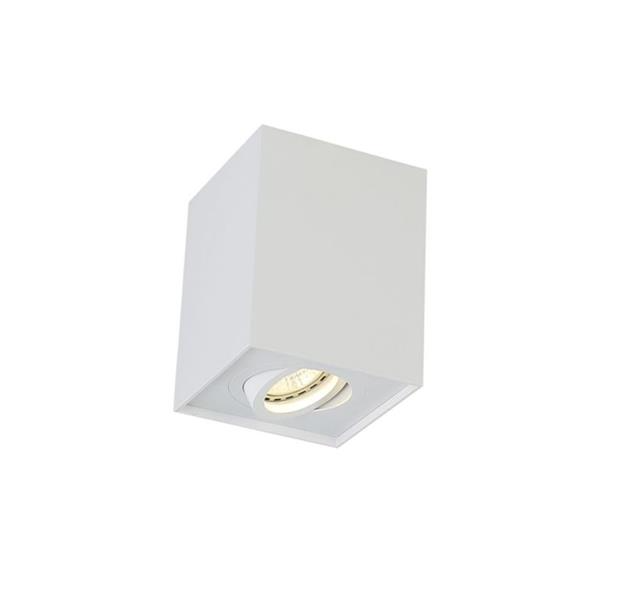 картинка Накладные светильники Накладной светильник Crystal Lux CLT 420C WH