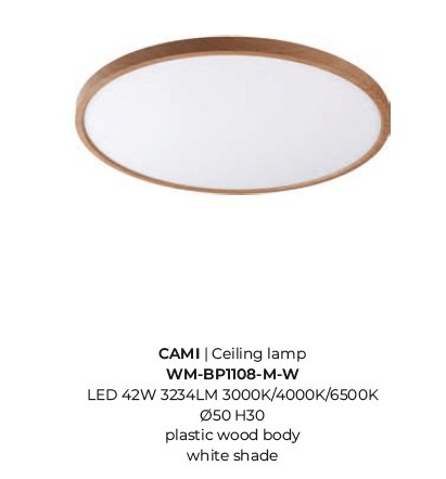 картинка Светодиодные Потолочный светильник ZUMA LINE Cami WM-BP1108-M-W