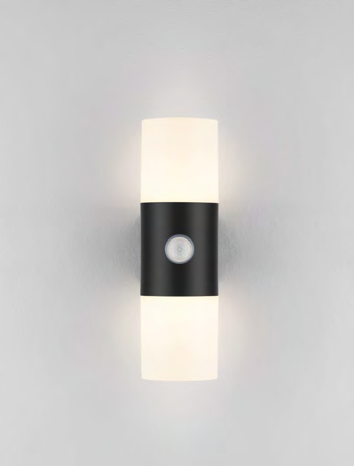 картинка Уличные настенные светильники Бра NOVA LUCE Paul 9176107