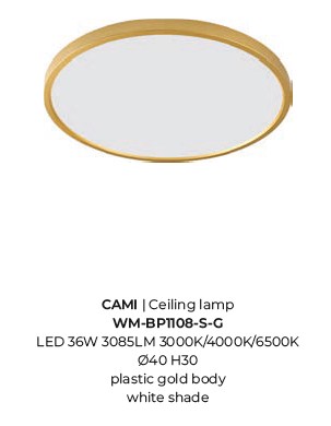 картинка Светодиодные Потолочный светильник ZUMA LINE Cami WM-BP1108-S-G
