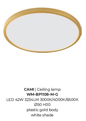 картинка Светодиодные Потолочный светильник ZUMA LINE Cami WM-BP1108-L-G